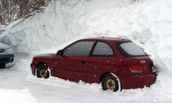 安全放心的短信在线呼死你2023